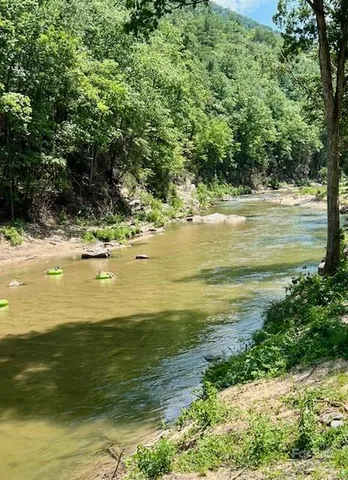 a view of a deck with a large trees