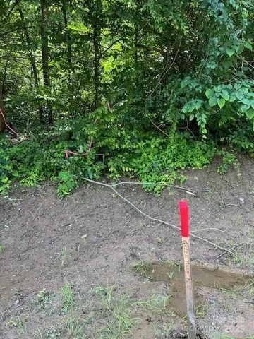 a flag is sitting in the middle of a forest