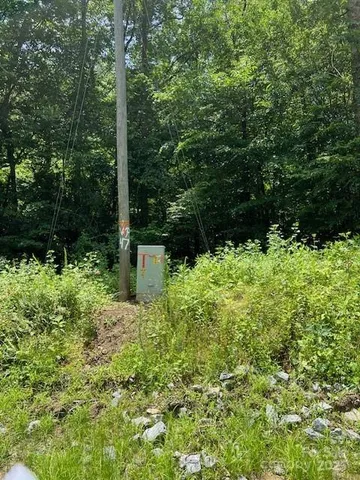 a view of a garden with a tree