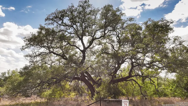 $130,900 | 327 Pr Sunset Vista Drive, Somerset, TX 78069