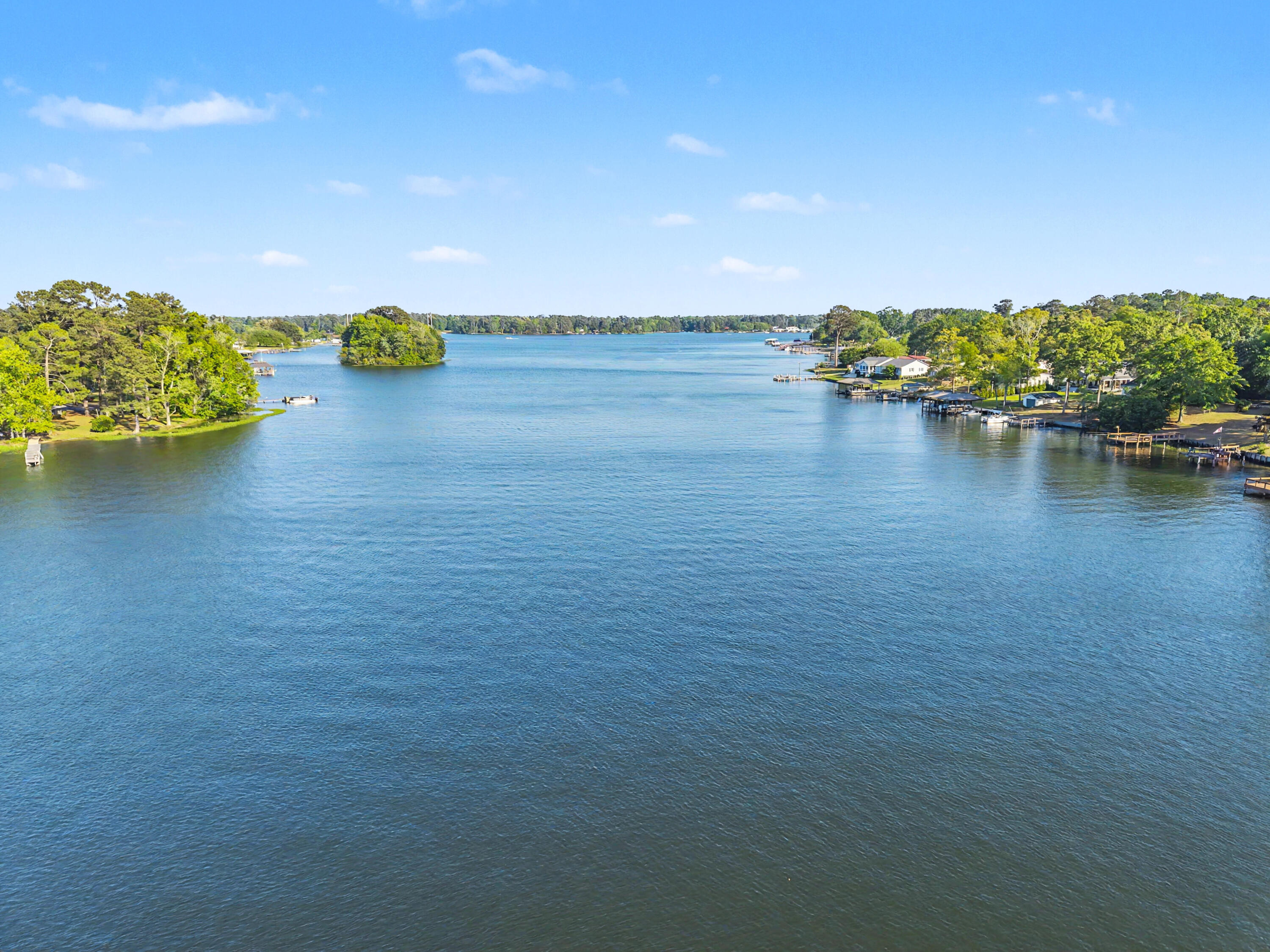 1537 Litzler Drive Manning, SC 29102 - Photo 87 of 100 Lakefront:1537 Litzler Dr