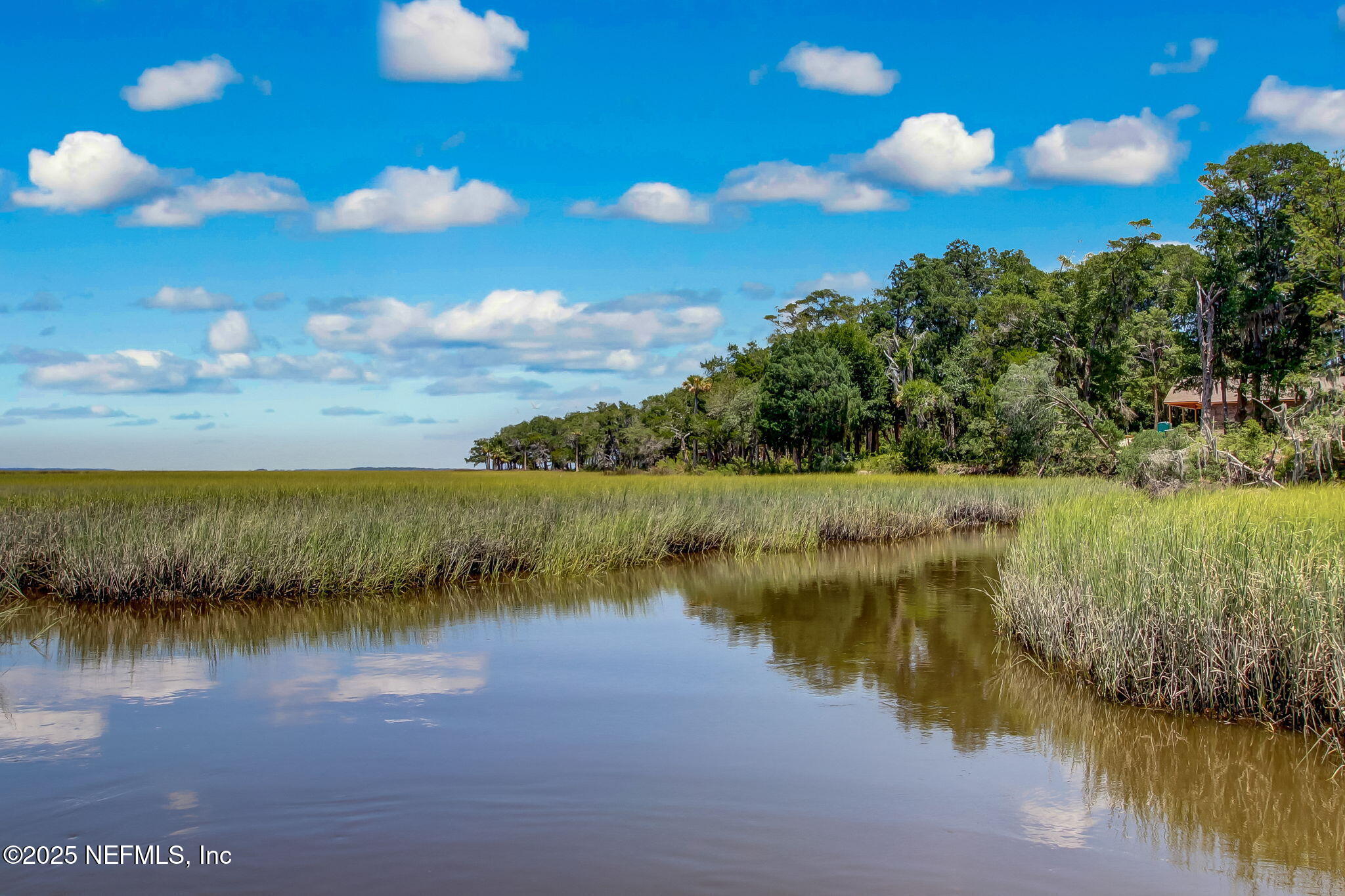a view of a lake from a yard