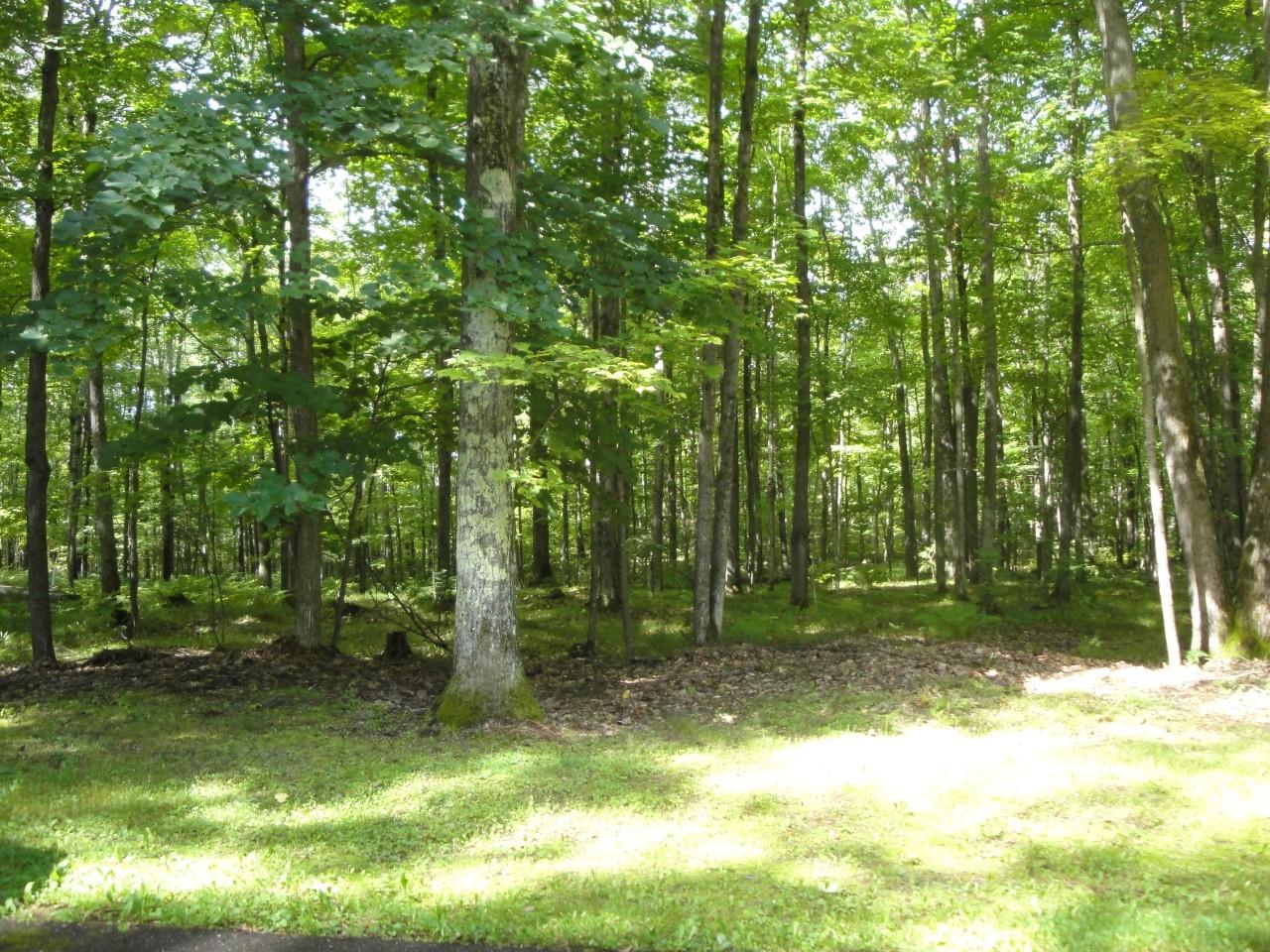 2903 Oak Ridge Circle Rhinelander, WI 54501 - Photo 30 of 34 Gallery Image 30