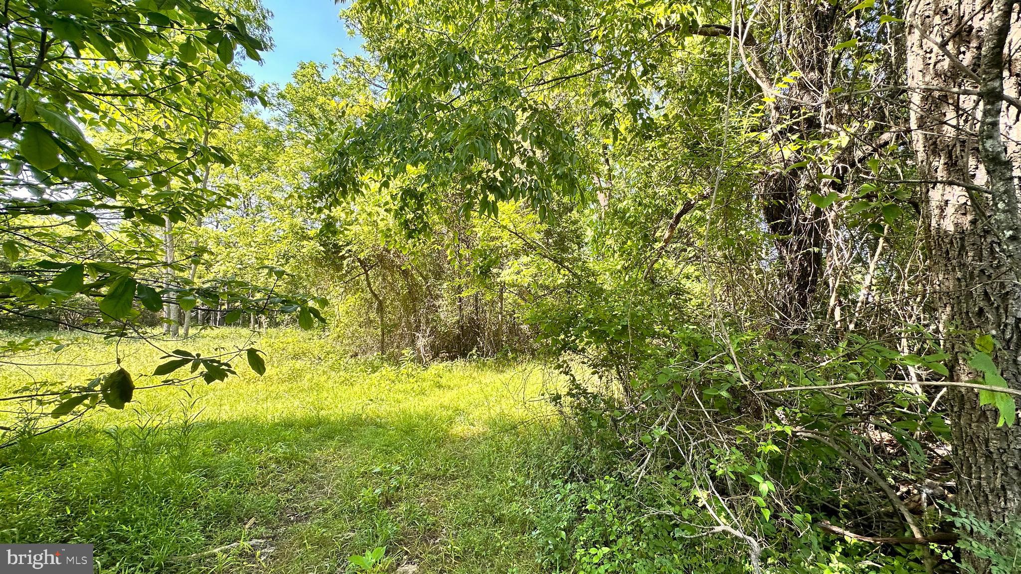 Goggin Ford Road Bedford, VA 24523 - Photo 13 of 20