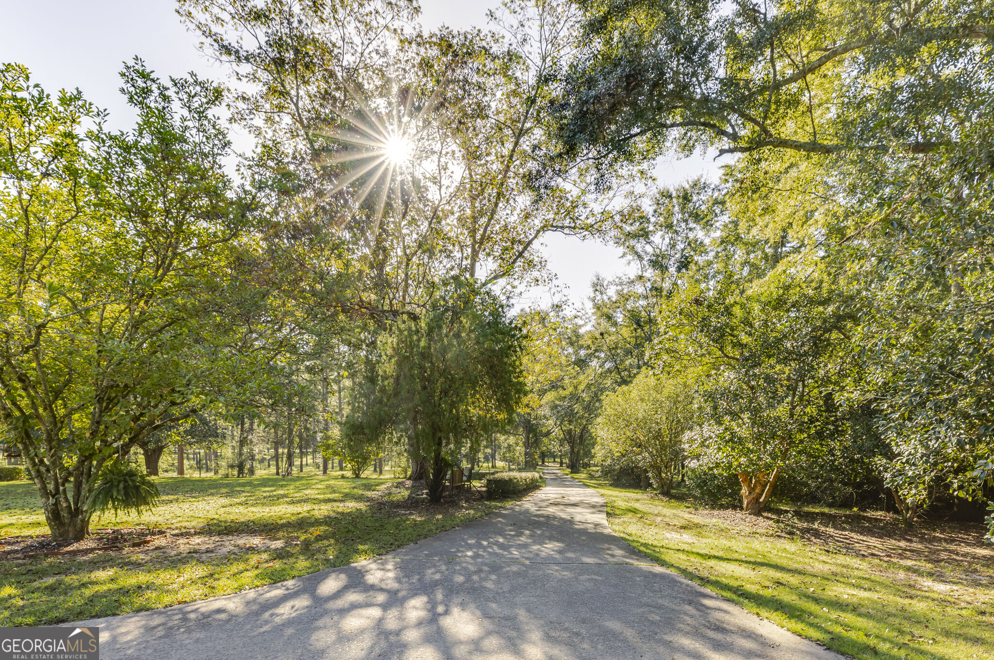 557 Green Road Ellaville, GA 31806 - Photo 5 of 45 Gallery Image 5