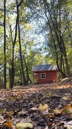 a view of house with a tree in front