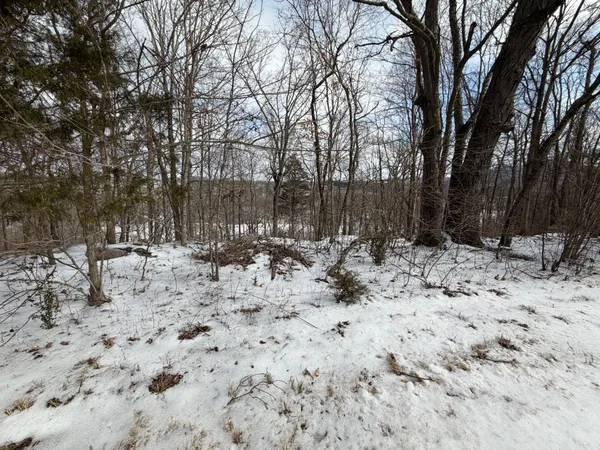 a view of snow on a road