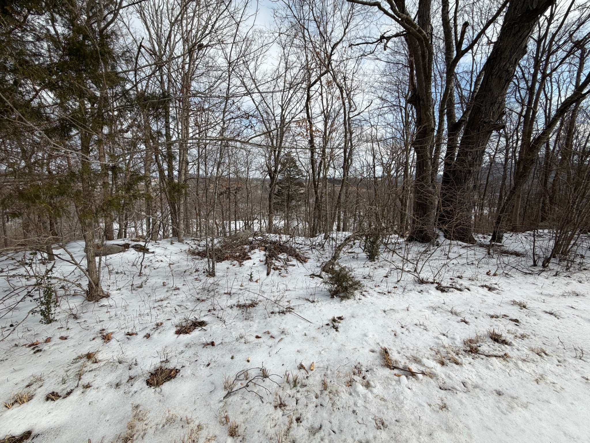 6 River Bend Road Horse Cave, KY 42749 - Photo 32 of 35