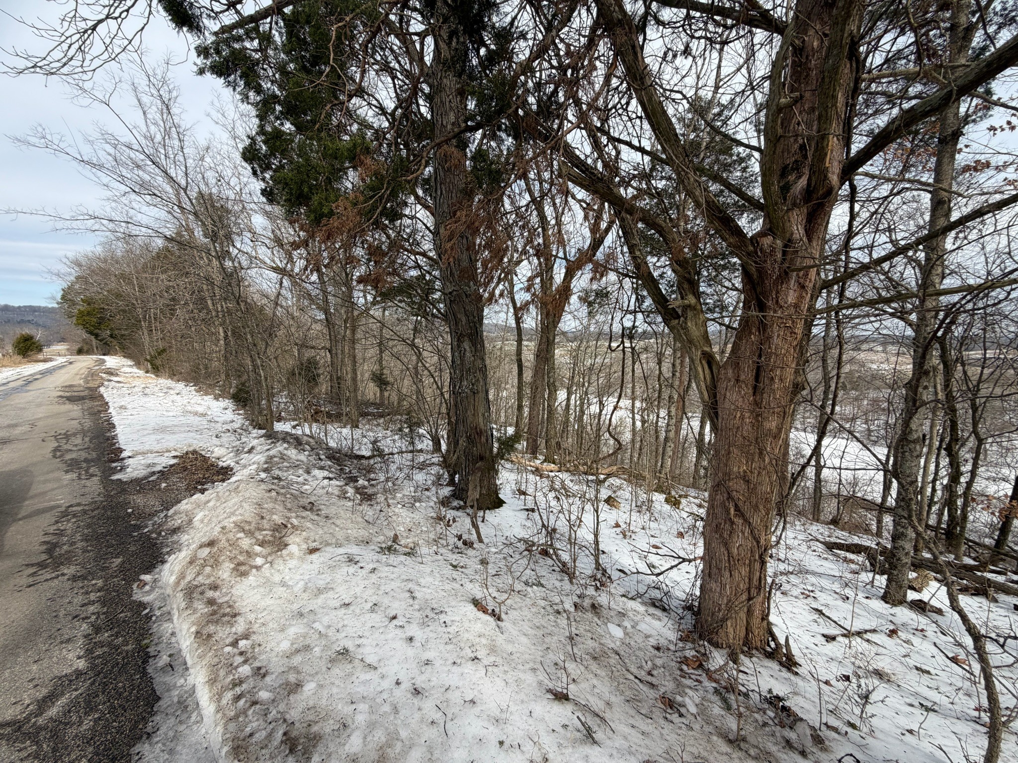 6 River Bend Road Horse Cave, KY 42749 - Photo 34 of 35