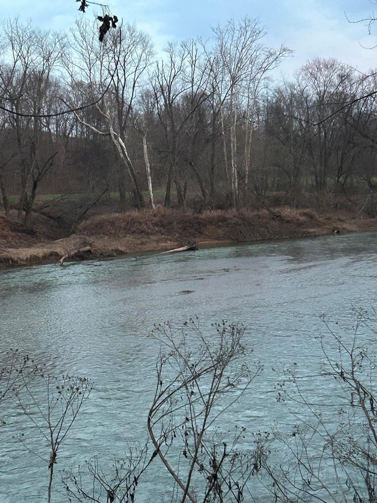 6 River Bend Road Horse Cave, KY 42749 - Photo 10 of 35