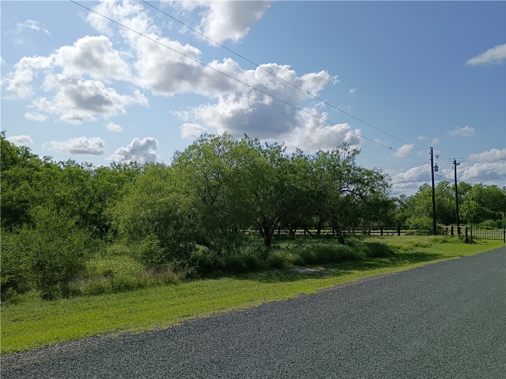 108 Swinney Switch Mathis, TX 78368 - Photo 2 of 10 a view of a park