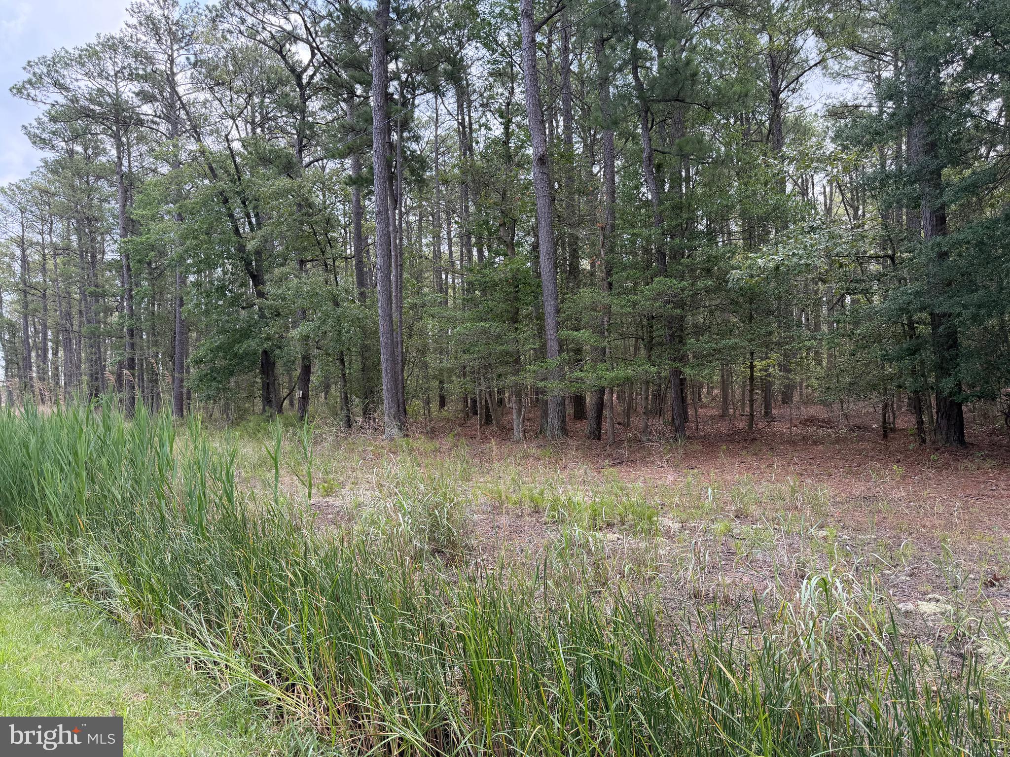 0 Hooper Neck Road Madison, MD 21648 - Photo 83 of 129