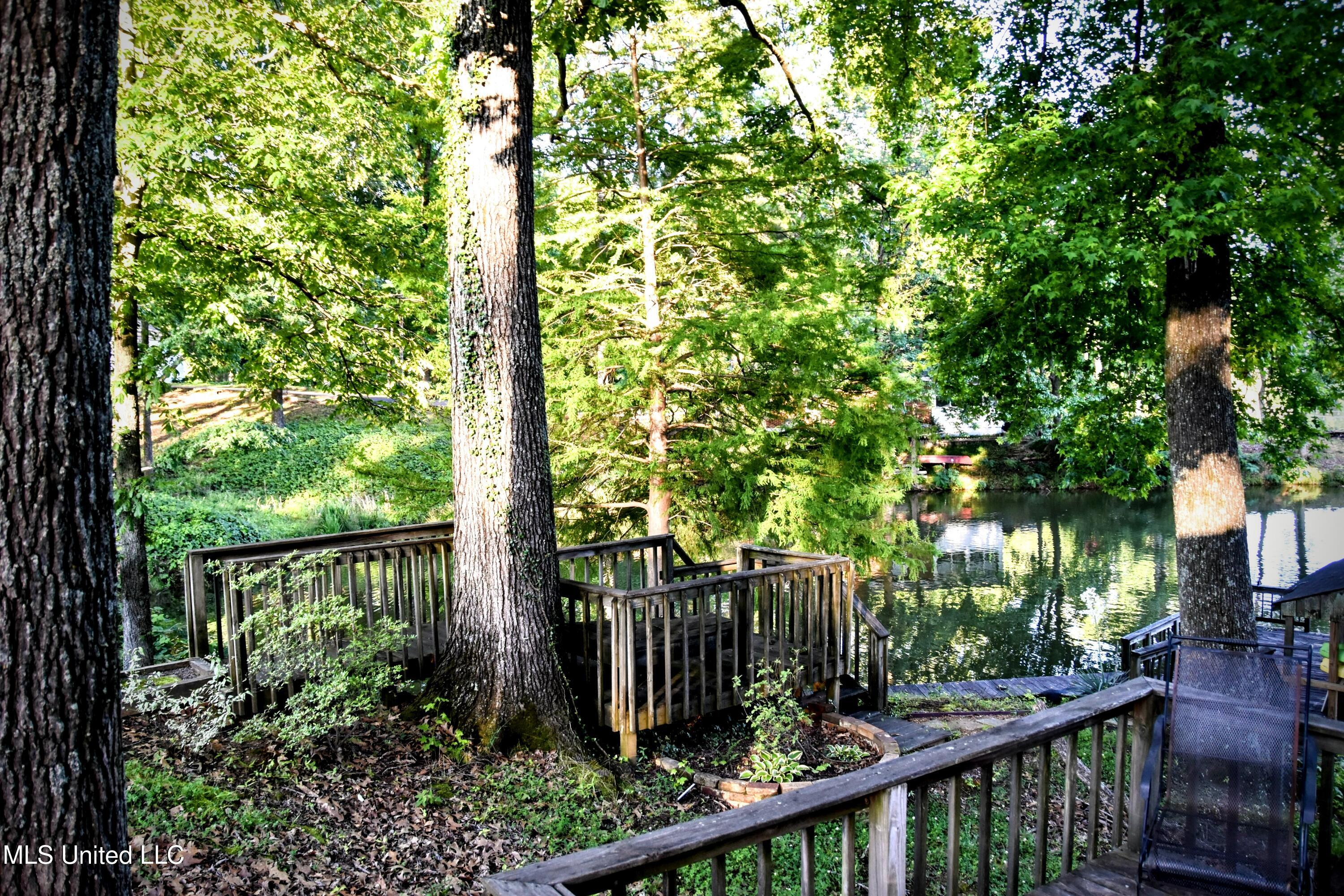 10991 High Road Hernando, MS 38632 - Photo 23 of 40 DSC_0679