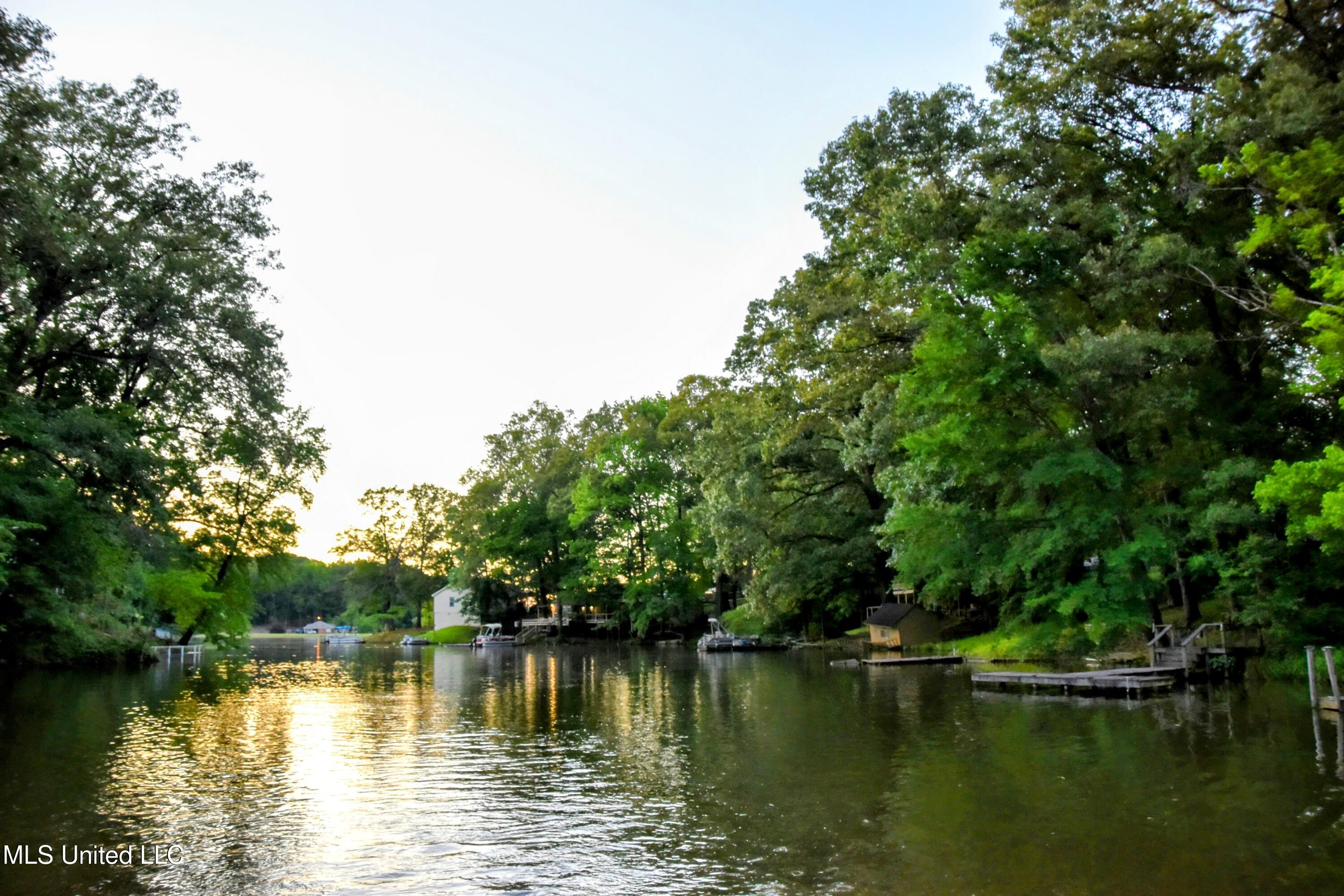 10991 High Road Hernando, MS 38632 - Photo 40 of 40 DSC_0773