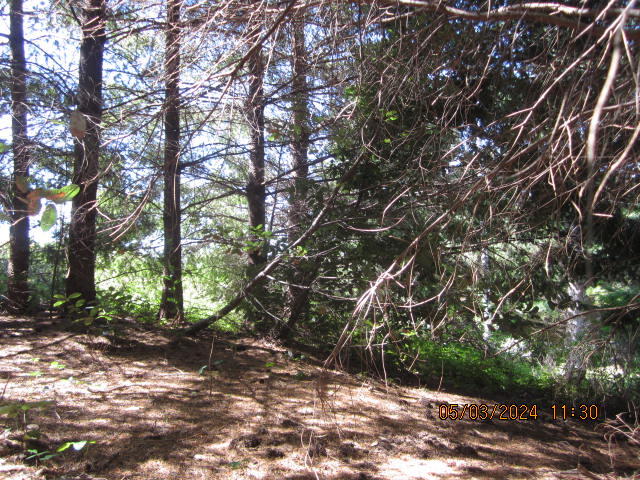232 Nob Hill Road Shelter Cove, CA 95589 - Photo 8 of 20