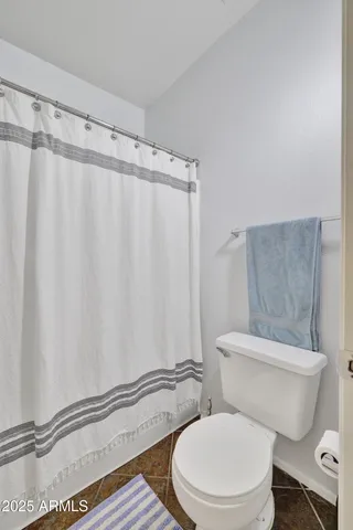 a white toilet sitting next to a shower curtain