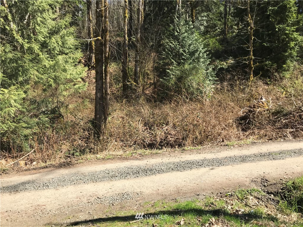 100 Caseco Lane Port Orchard, WA 98366 - Photo 4 of 23