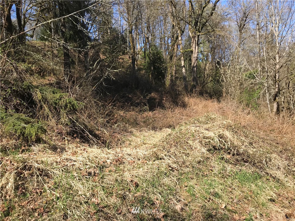 100 Caseco Lane Port Orchard, WA 98366 - Photo 8 of 23