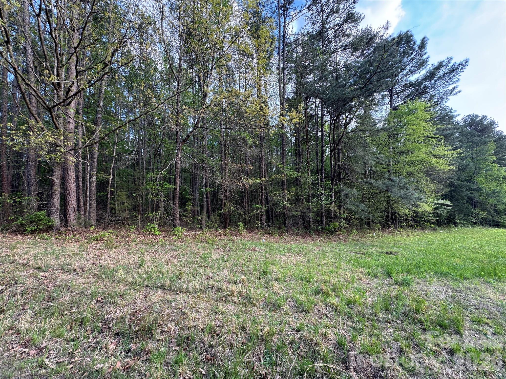 255 Young Road Salisbury, NC 28144 - Photo 4 of 5