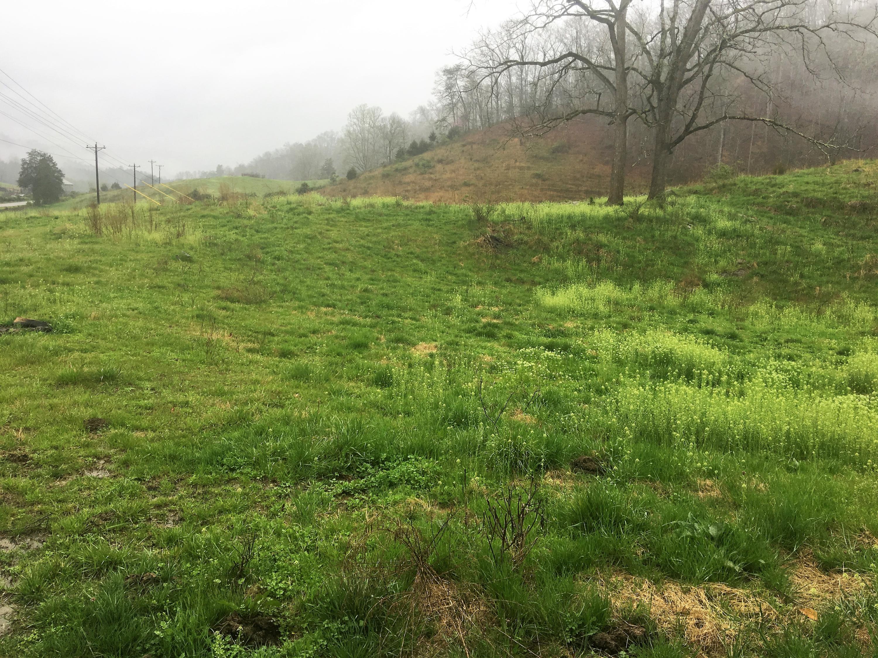7567 Kyles Ford Road Kyles Ford, TN 37765 - Photo 19 of 24 field behind the house