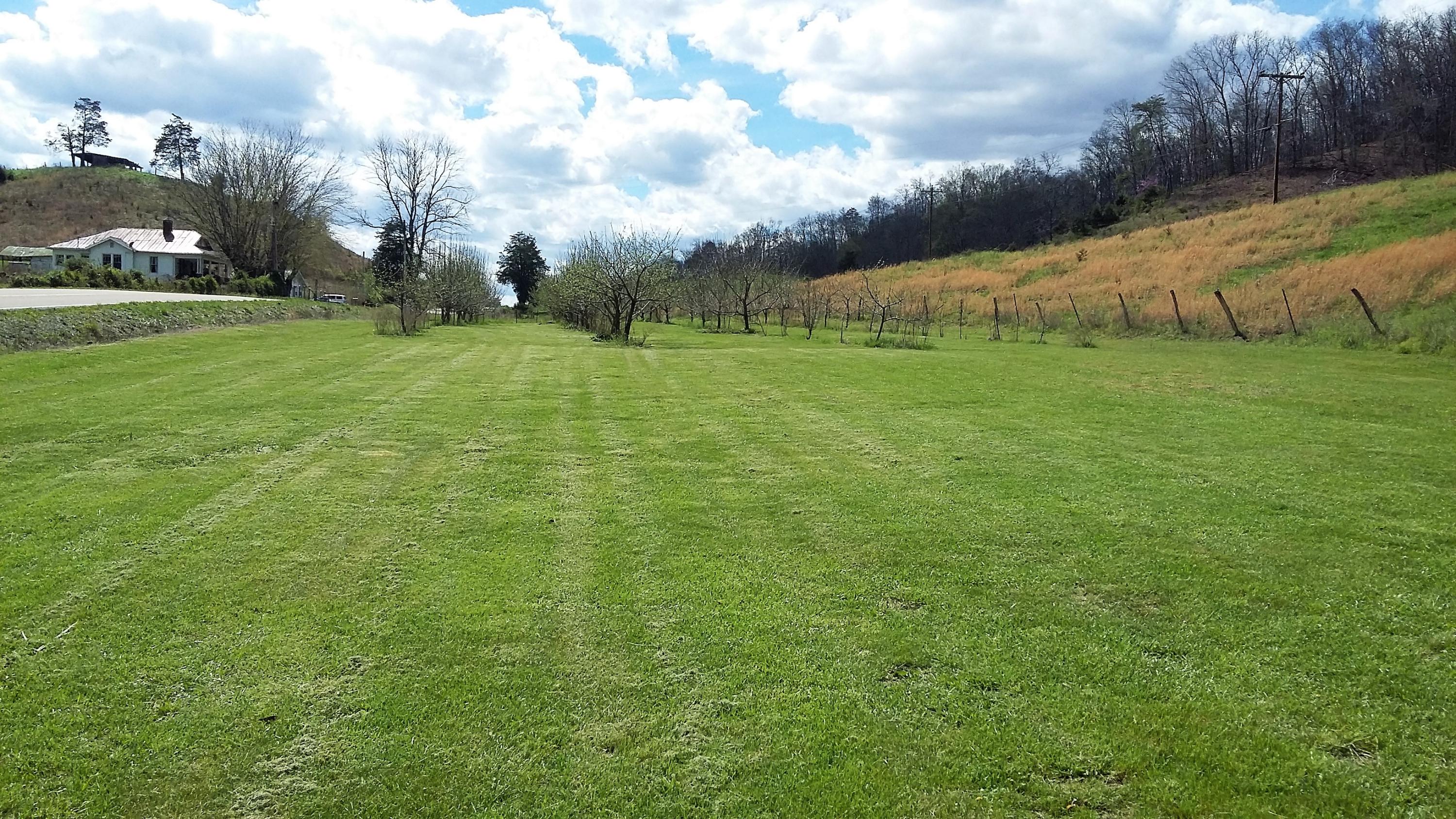 7567 Kyles Ford Road Kyles Ford, TN 37765 - Photo 3 of 24 Apple orchard over 60 trees