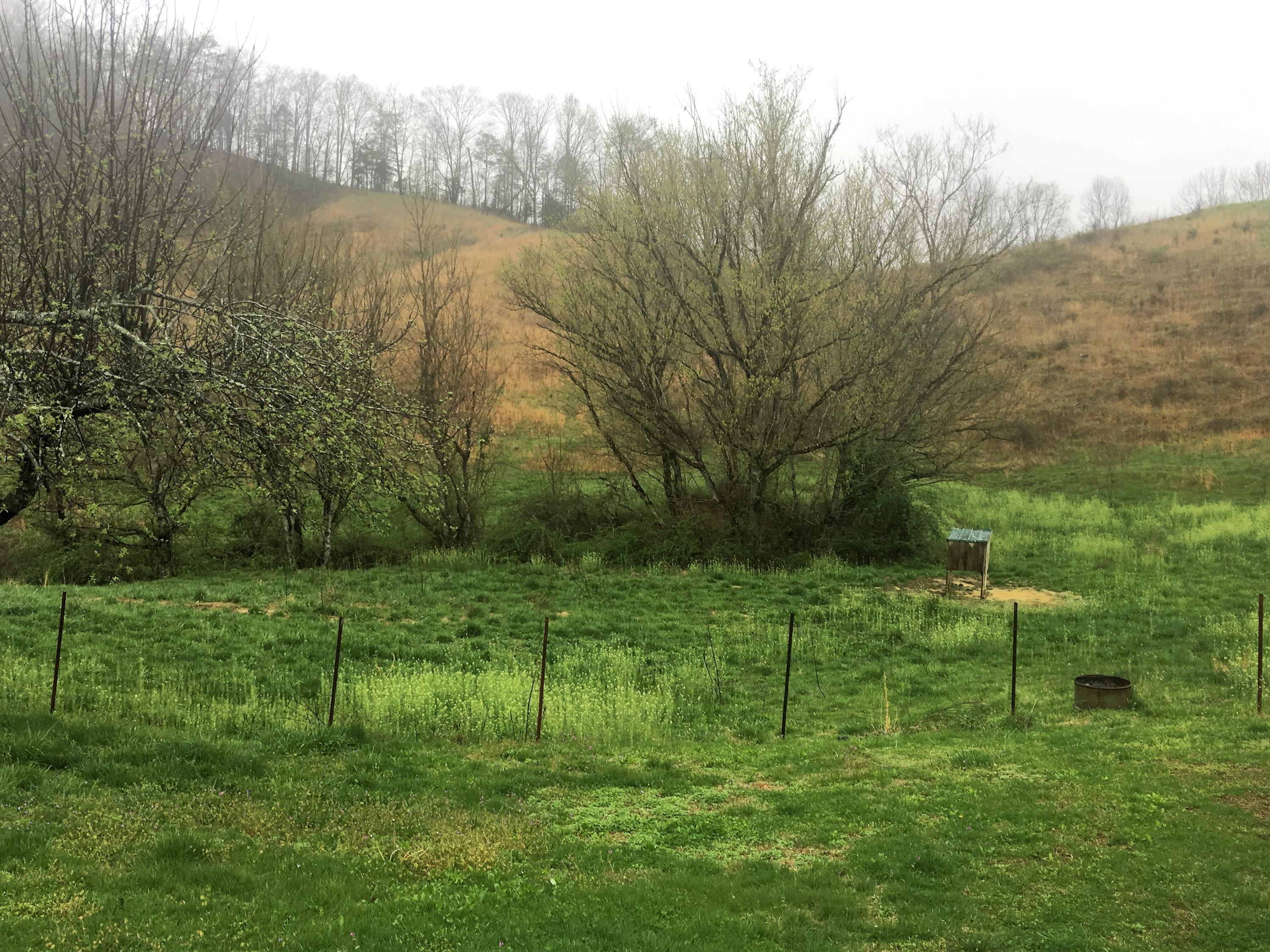 7567 Kyles Ford Road Kyles Ford, TN 37765 - Photo 22 of 24 land looking east
