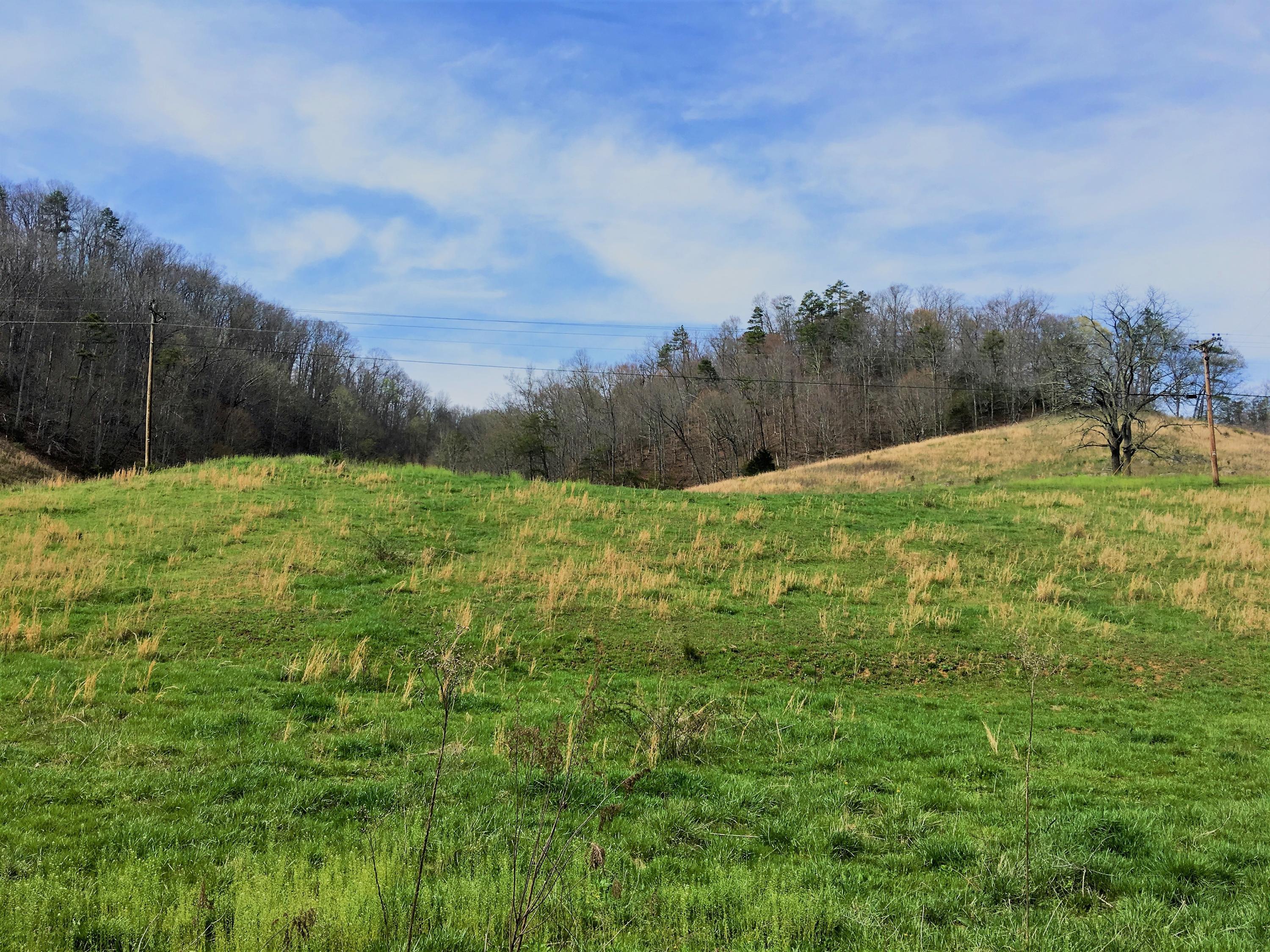 7567 Kyles Ford Road Kyles Ford, TN 37765 - Photo 4 of 24 land lays great fenced and cross fenced
