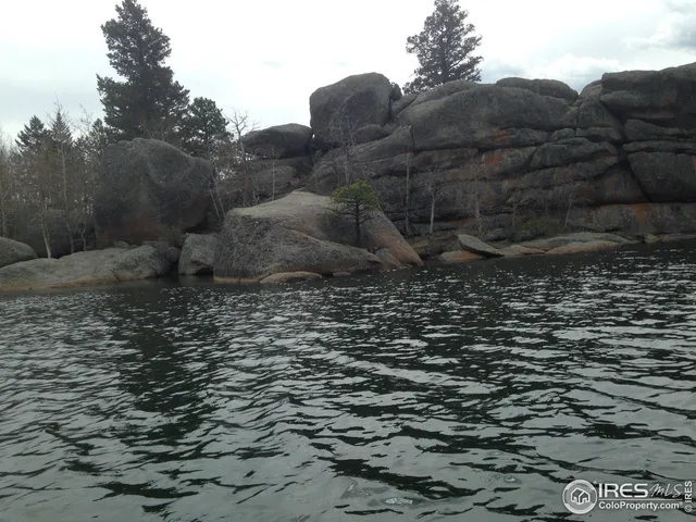 a view of a bunch of trees in a field