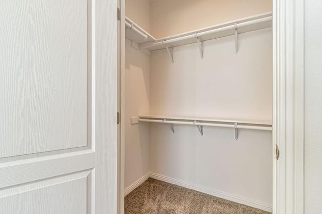 a bathroom with a shower and a toilet