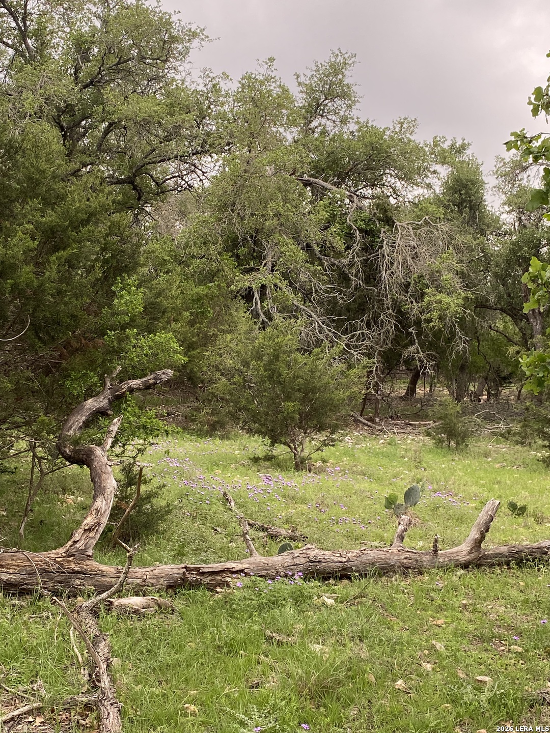 106 Ulmus Road Fredericksburg, TX 78624 - Photo 2 of 15 a view of a field with an trees
