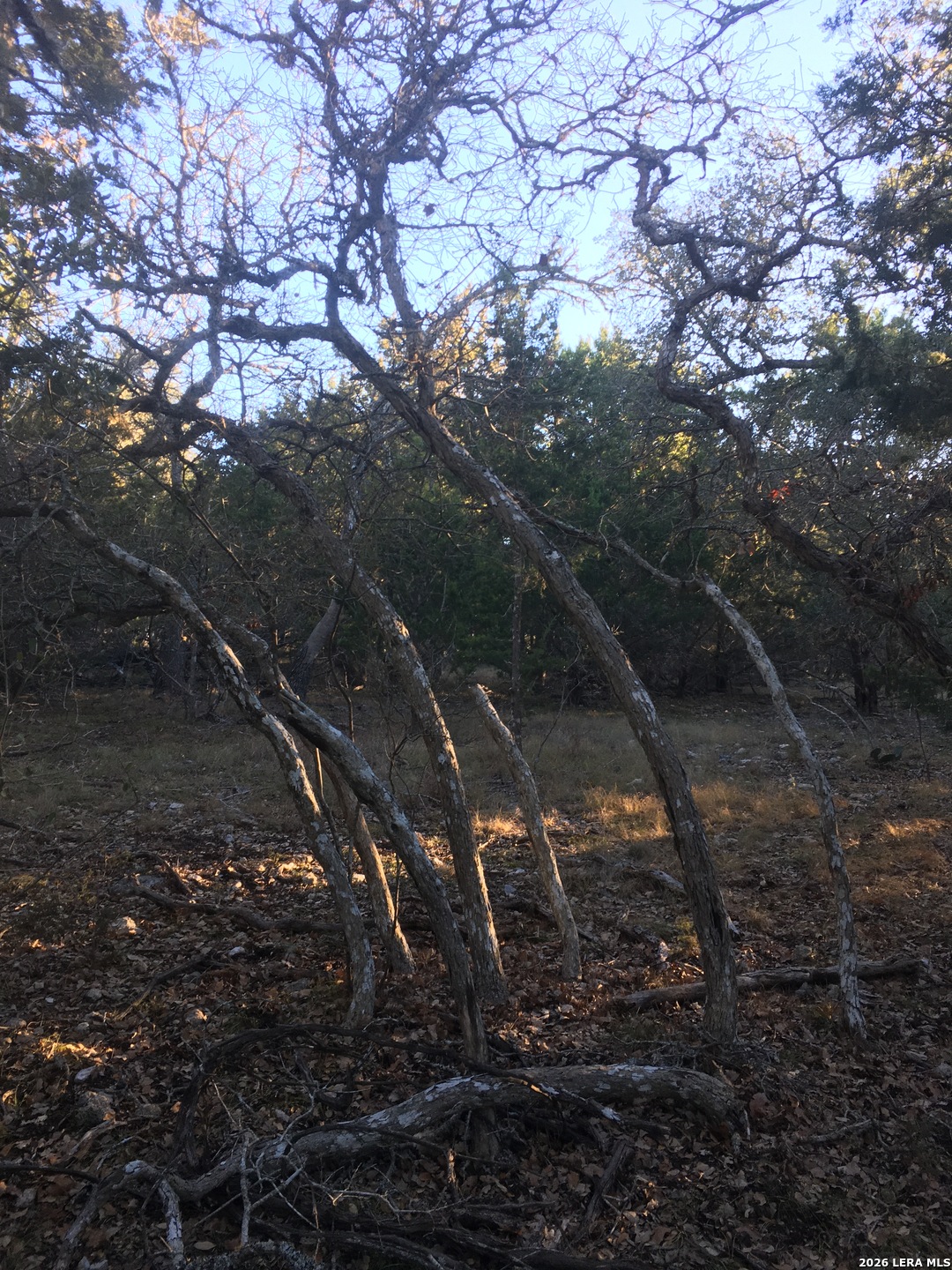 106 Ulmus Road Fredericksburg, TX 78624 - Photo 5 of 15 a view of a yard