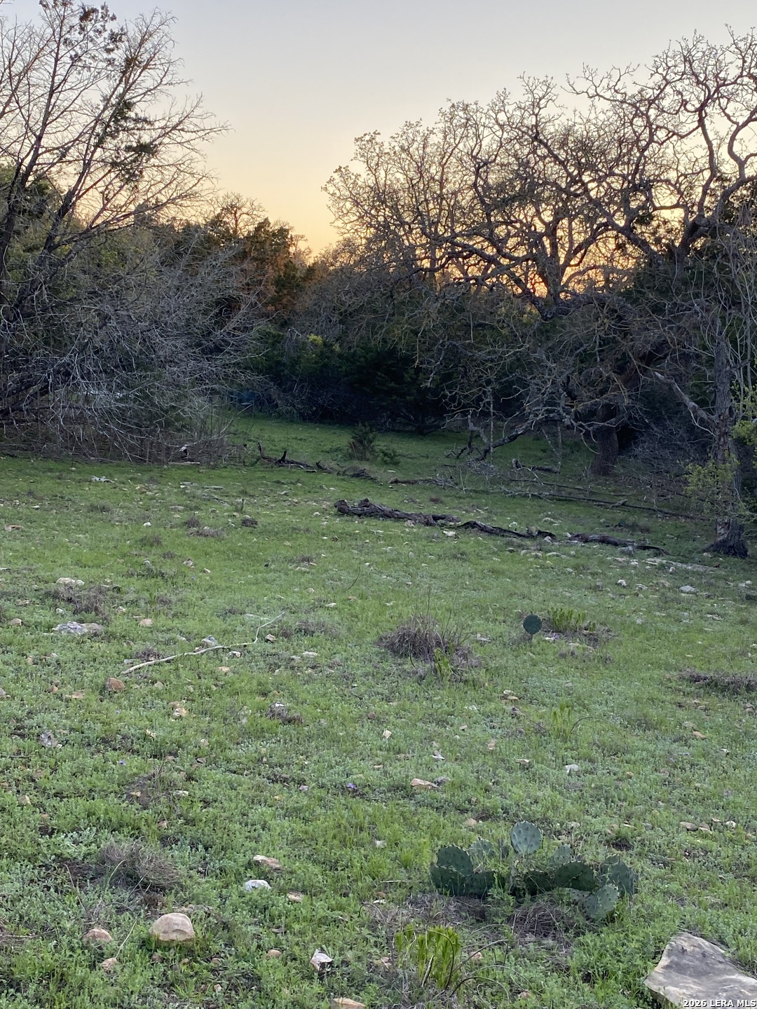 106 Ulmus Road Fredericksburg, TX 78624 - Photo 7 of 15 a backyard of a house with lots of green space