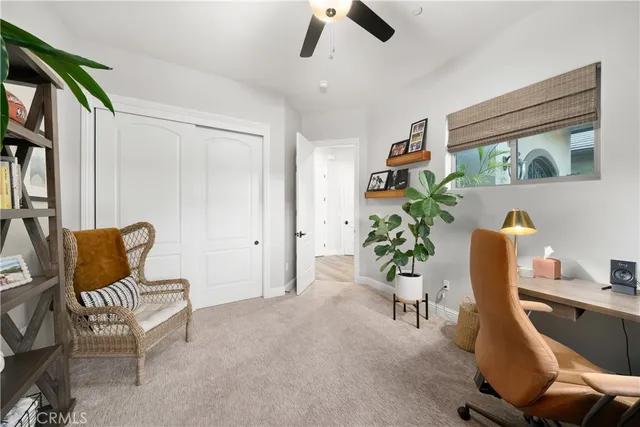 a view of a garden with plants