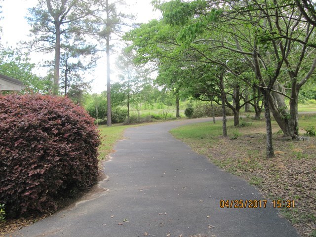 1062 Wriley Road McIntyre, GA 31054 - Photo 20 of 28 a view of a street with a tree
