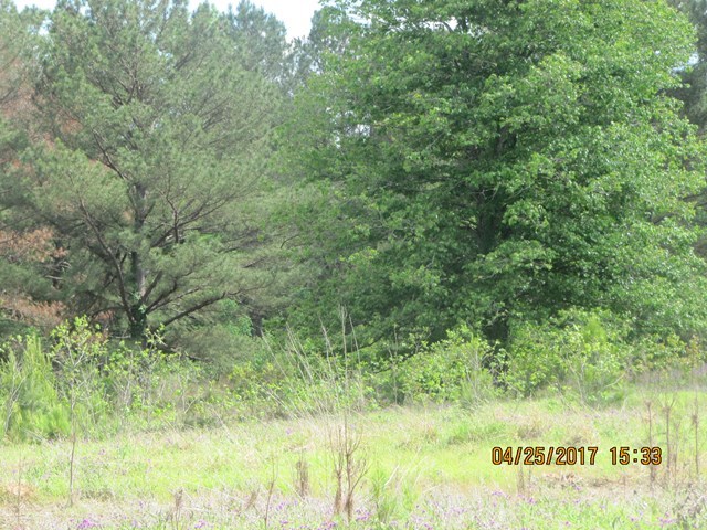 1062 Wriley Road McIntyre, GA 31054 - Photo 21 of 28 a view of a yard with plants and large trees