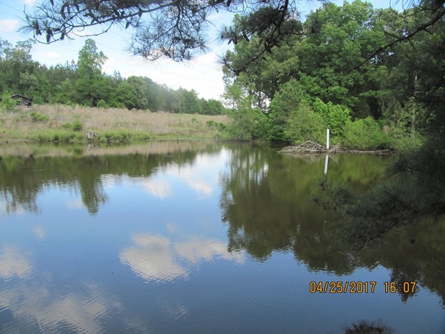 1062 Wriley Road McIntyre, GA 31054 - Photo 24 of 28 a view of a lake in between two large trees