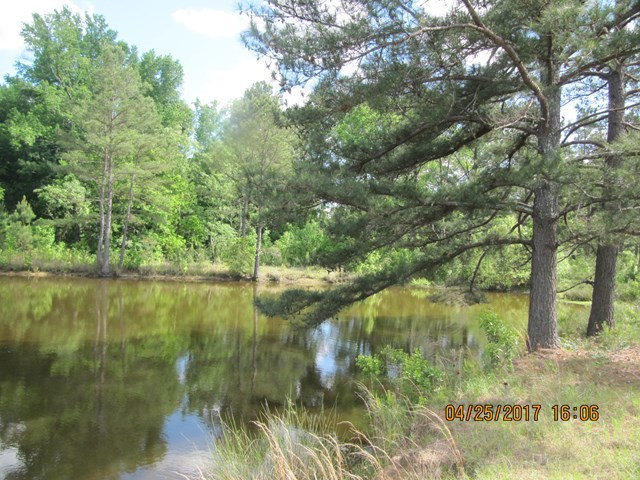 1062 Wriley Road McIntyre, GA 31054 - Photo 25 of 28 a view of lake