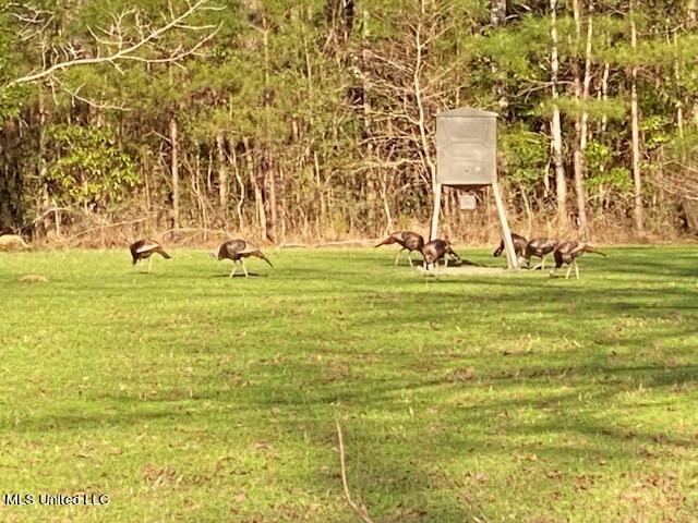 377 A Deep Creek Road Wiggins, MS 39577 - Photo 29 of 37 IMG_4774