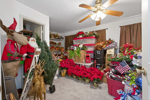 a living room filled with furniture and a potted plant