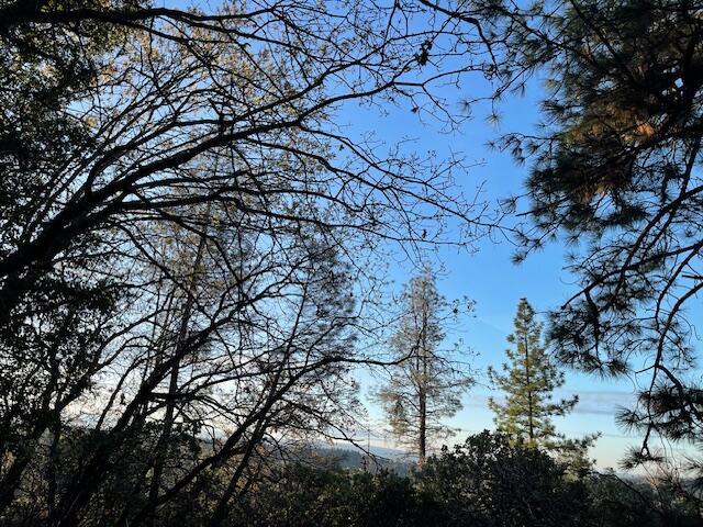 160 Ac Road Oak Run, CA 96069 - Photo 3 of 39 20240322022040878256000000-o