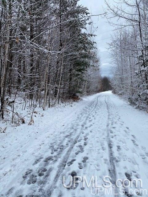 Tbd Tbd Northwoods Road Marquette, MI 49855 - Photo 28 of 31