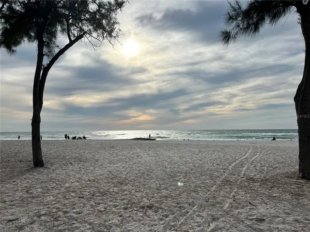 a view of a dry yard with wooden fence