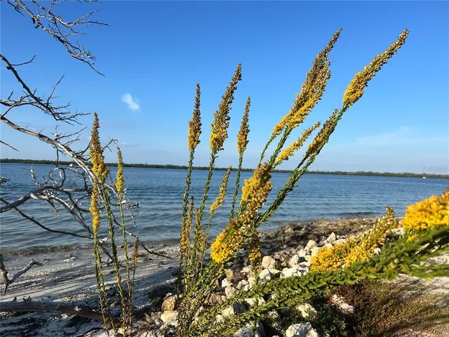 $2,850 | 8611 51st Avenue West, Bradenton, FL 34210