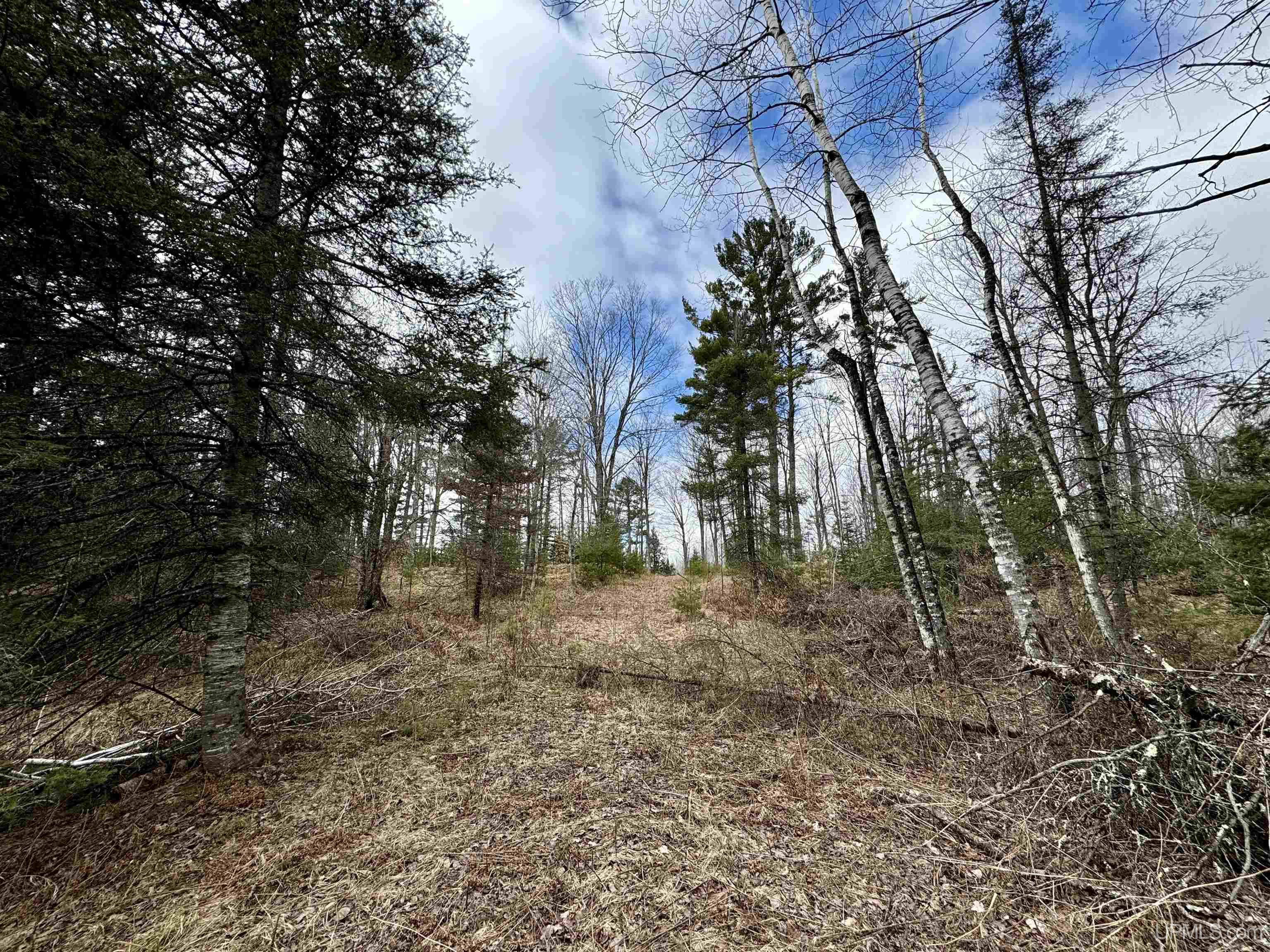 M69 Rd Perronville Mi 49873 Road Perronville, MI 49873 - Photo 24 of 41
