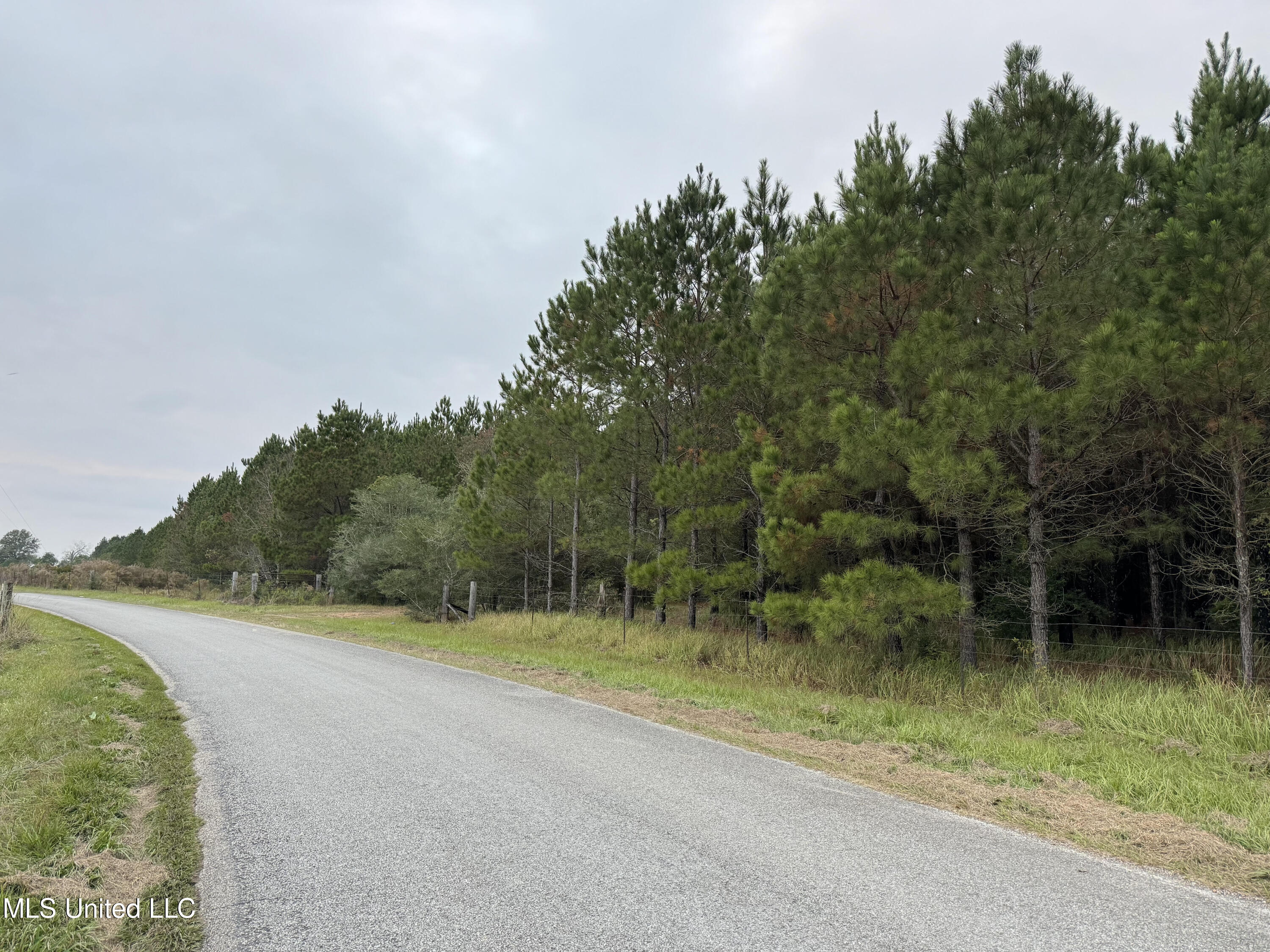 Jordan Road Perkinston, MS 39573 - Photo 11 of 21 Jordan 3