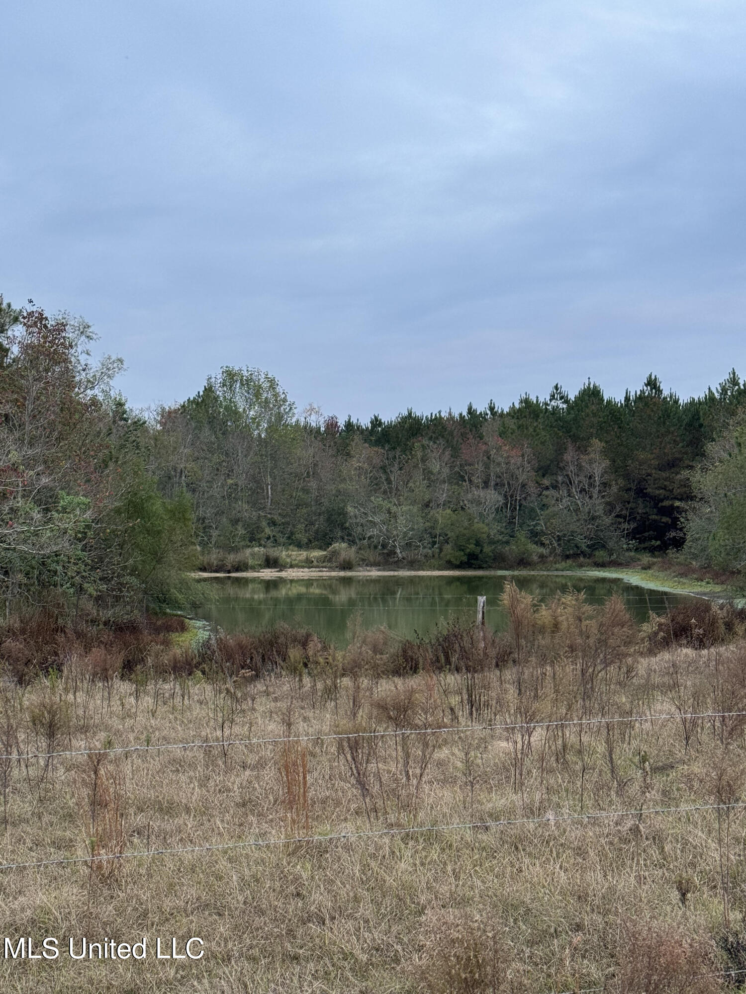 Jordan Road Perkinston, MS 39573 - Photo 14 of 21 Jordan 5