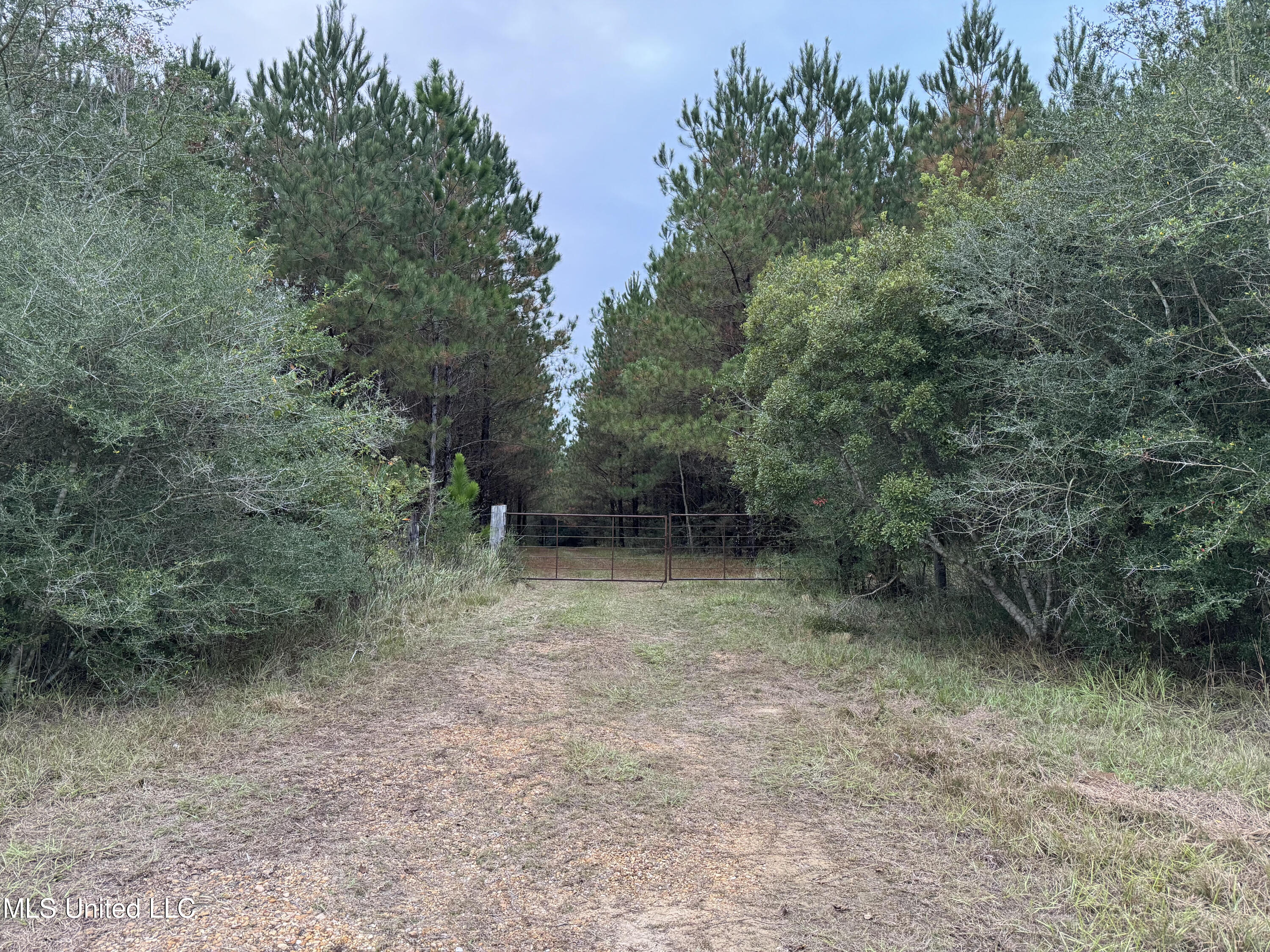 Jordan Road Perkinston, MS 39573 - Photo 15 of 21 Jordan 4