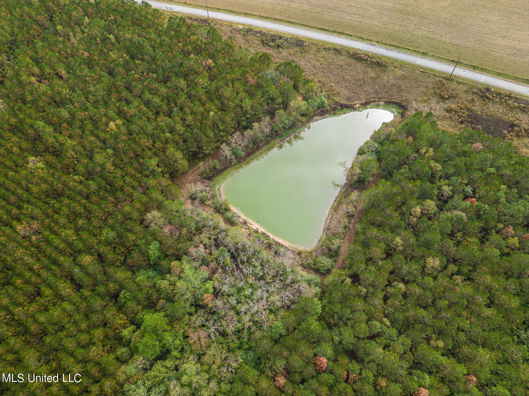 Jordan Road Perkinston, MS 39573 - Photo 3 of 21 Jordan Road-37005