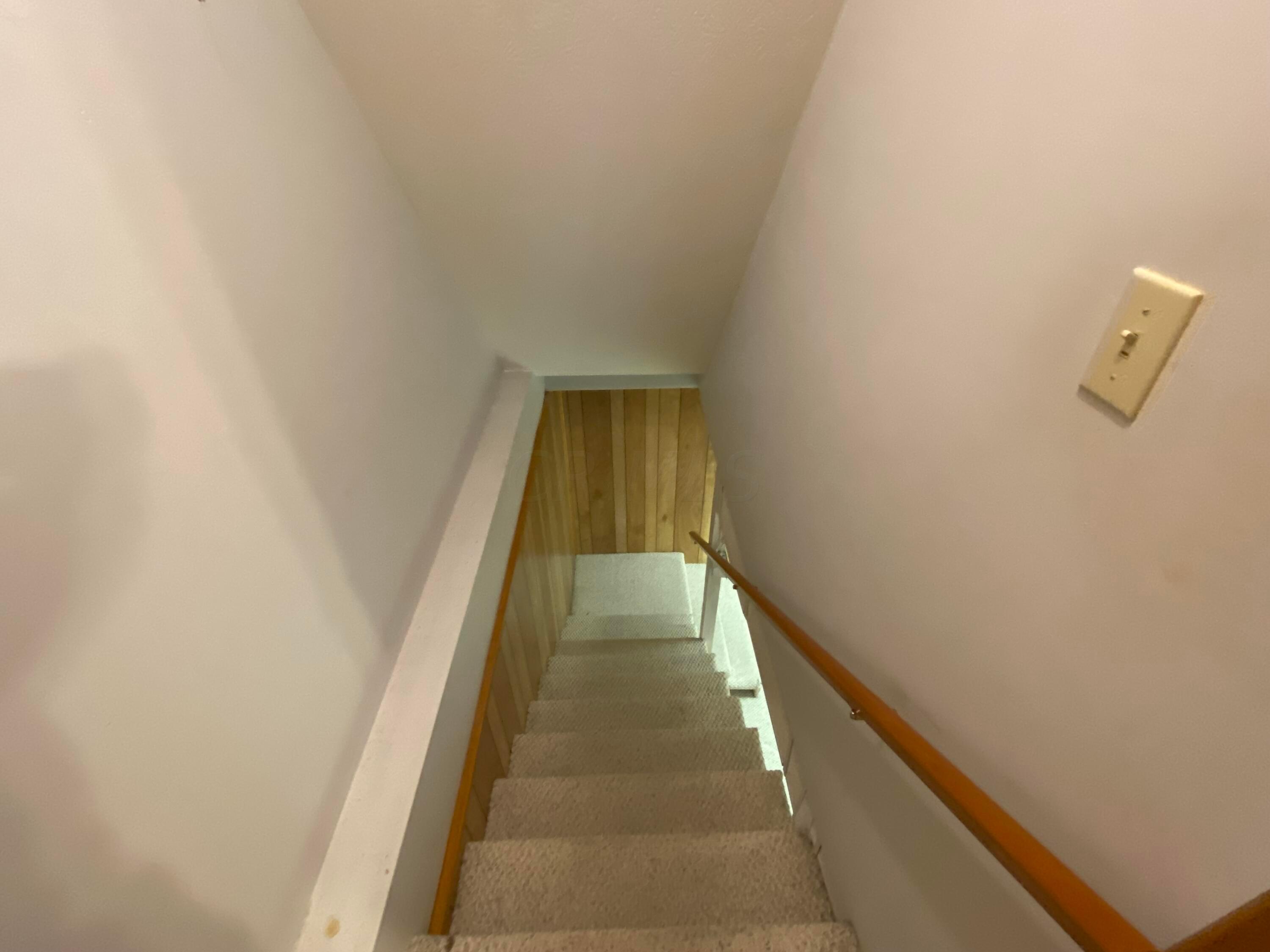 1675 Northridge Road Circleville, OH 43113 - Photo 21 of 49 Basement Entrance from Kitchen