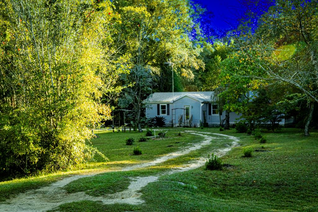 380 Timber Lane Abbeville, AL 36310 - Photo 1 of 88